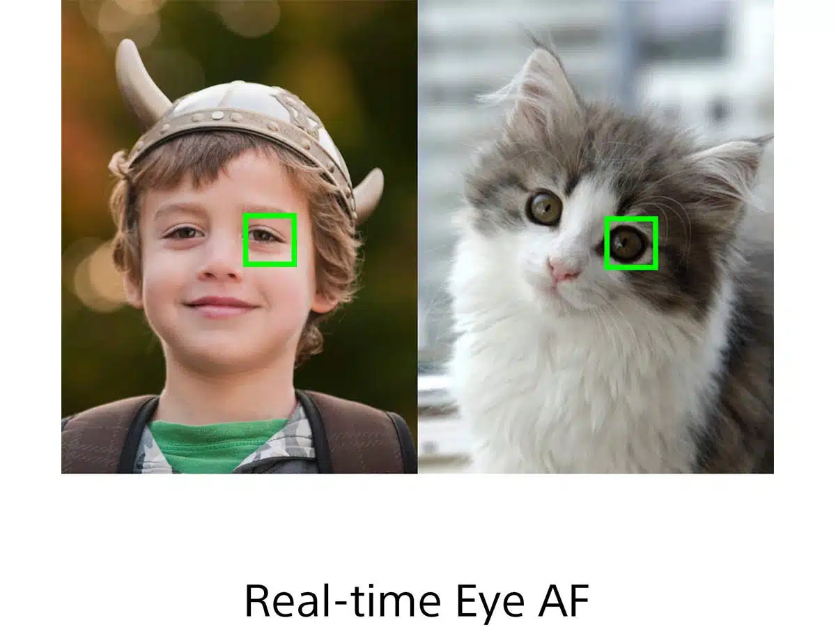 Sony RX100 VII - Image 5