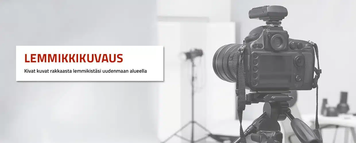 Lemmikkikuvaus Järvenpää