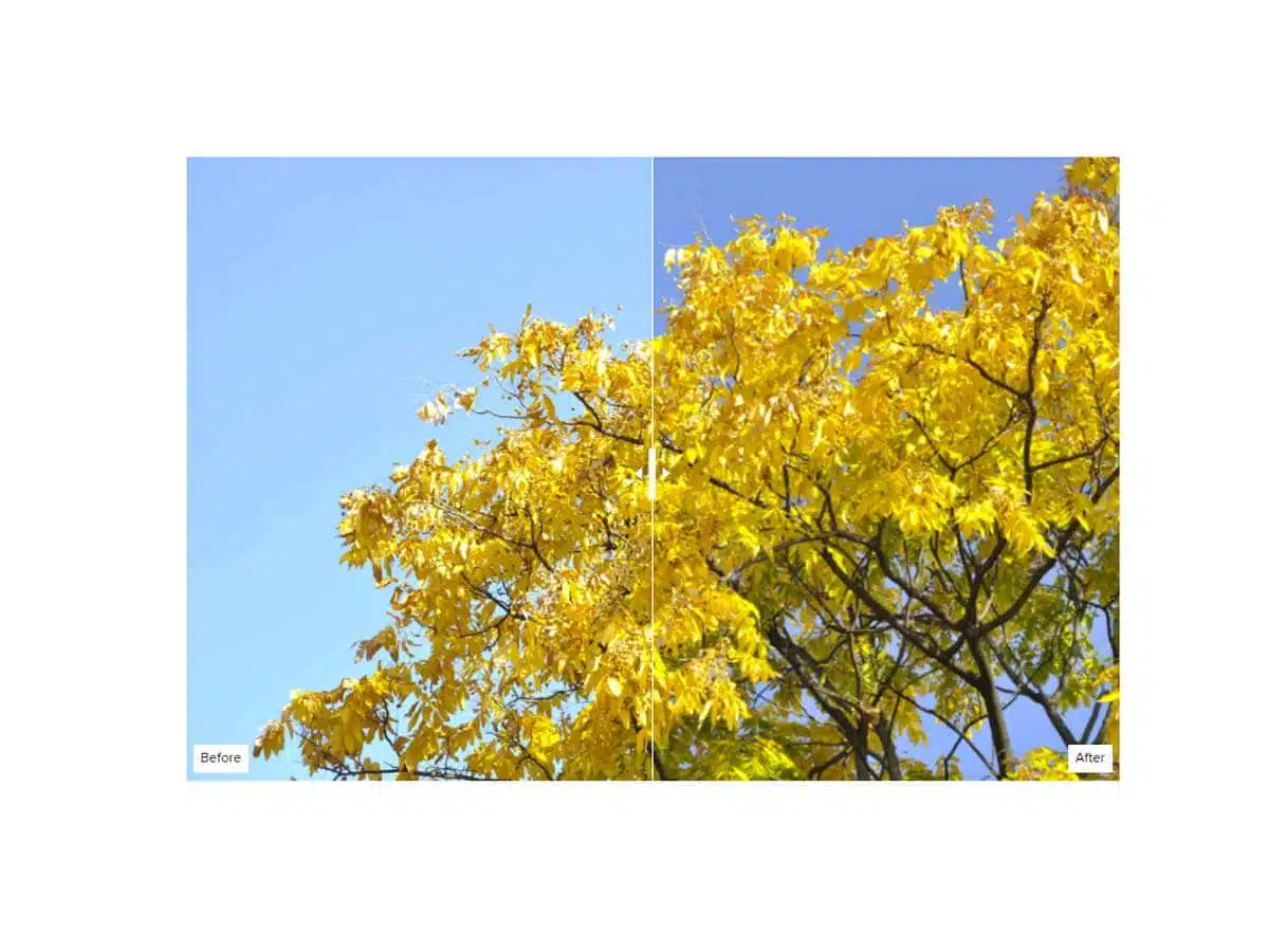 pyöröpolarisaatiosuodin